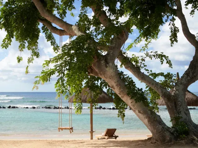 The Westin Turtle Bay Resort & Spa photo 2