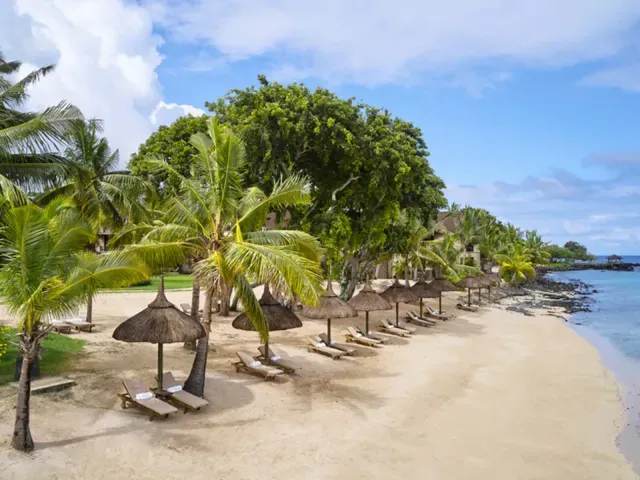 The Westin Turtle Bay Resort & Spa photo 9
